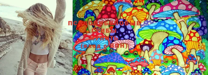 Псилоцибиновые грибы Psilocybe  гидра рабочий сайт  Власиха 